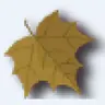 老
